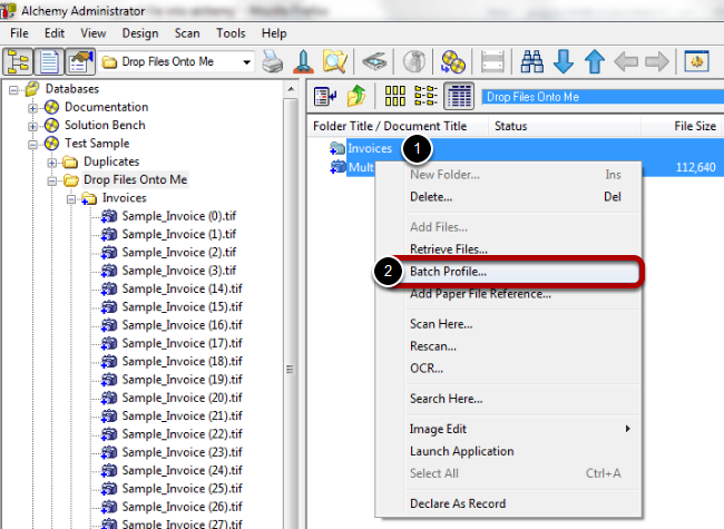 batch-profiling-documents.png