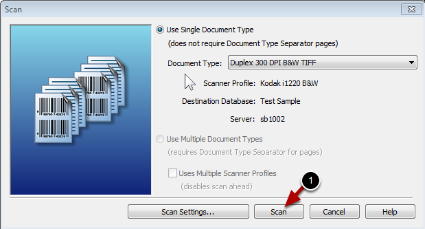 select-document-type.png