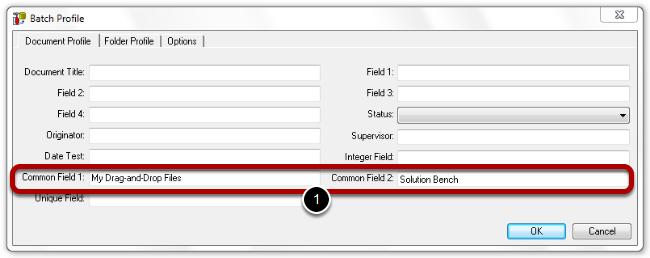 specify-batch-profile-data.png