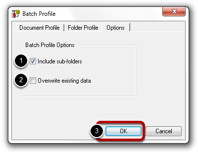 specify-batch-profile-options.png