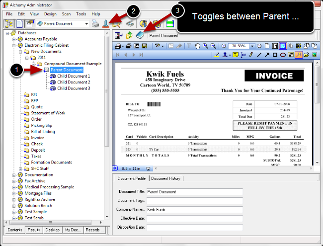 viewing-the-parent-document.png